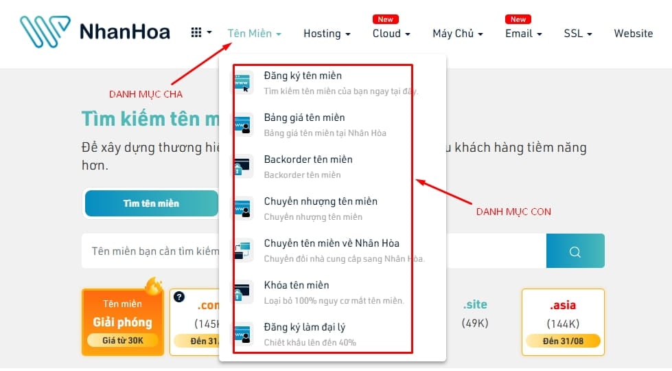 cấu tr&uacute;c danh mục web